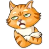 Striped Cat 21
