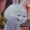 snowball rabbit 17