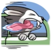 Chuck the Husky 8