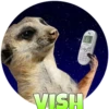 Suricate Seboso 10
