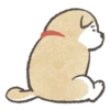 Shiba-Puppy! 18