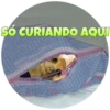 Suricate Seboso 12