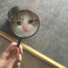 Crying Cat Deluxe 19