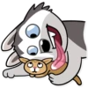 Chuck the Husky 9