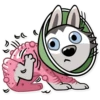 Chuck the Husky 10