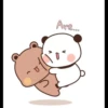 Bear & Panda 15