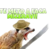 Suricate Seboso 13
