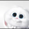 snowball rabbit 19