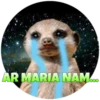 Suricate Seboso 14