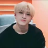 BANG CHAN 22