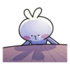 Spoiled rabbit from tg2 18