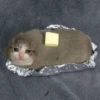 Crying Cat Deluxe 24