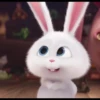 snowball rabbit 22