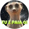 Suricate Seboso 20