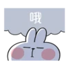 Spoiled Rabbit You 23