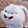 snowball rabbit 24