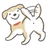 Shiba-Puppy! 25