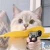 Cat Angry 27