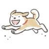 Shiba-Puppy! 26
