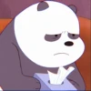 Bears mood 24