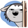 Chuck the Husky 15