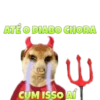 Suricate Seboso 23