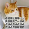 Sun Meow 21