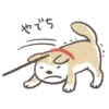 Shiba-Puppy! 27