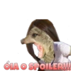 Suricate Seboso 24