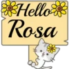 Hello Name Cat 1 24