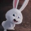 snowball rabbit 27
