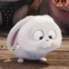 snowball rabbit 28
