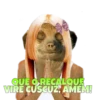 Suricate Seboso 25