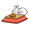 Spoiled Rabbit Winter 23