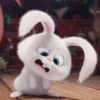 faraaa 28