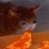 Crying Cat Deluxe 30