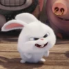 snowball rabbit 29