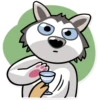 Chuck the Husky 16