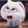 snowball rabbit 30