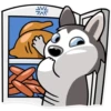 Chuck the Husky 19