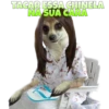 Suricate Seboso 27