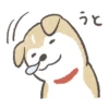 Shiba-Puppy! 30