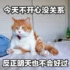 Sun Meow 28
