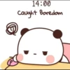 Bear & Panda 30