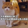 Sun Meow 30