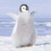 AnImAls 7