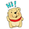 Bear 5
