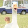 AnImAls 9