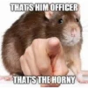 Random Shit #1 5