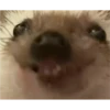 Random Shit #1 6